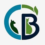Logo Dr. Caio Bronzeado